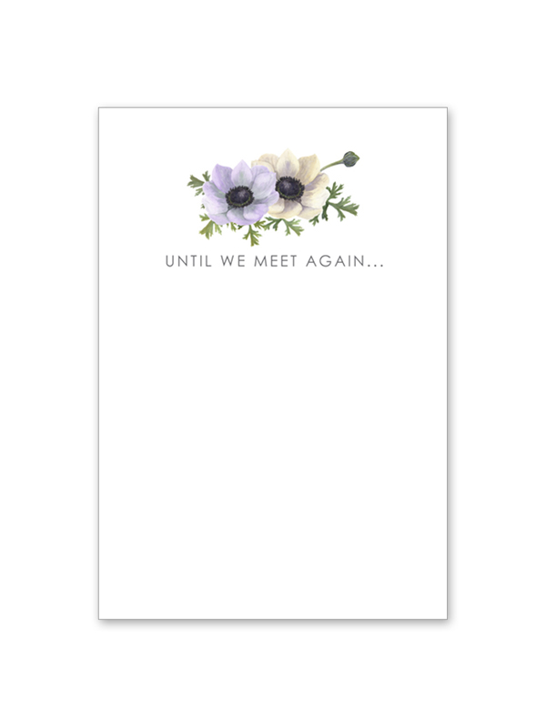 Until We Meet Again Anemone