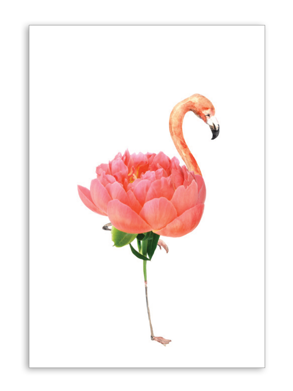 Blank Flamingo