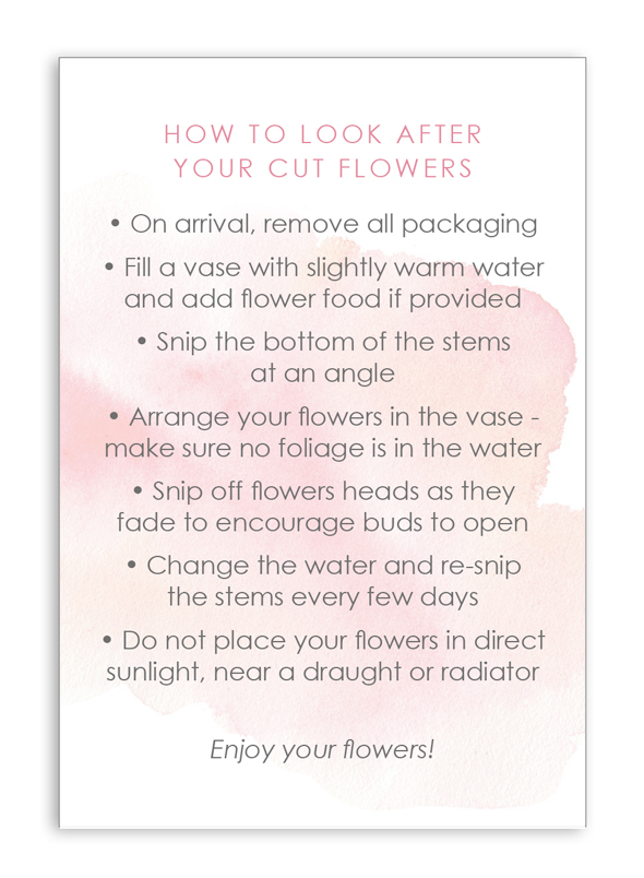 Cut Flower Care Card Pink